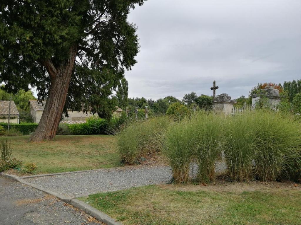 Cap Saint Emilion-Ideal Pros-Horaires Adaptables Petit-Palais-et-Cornemps Exterior foto